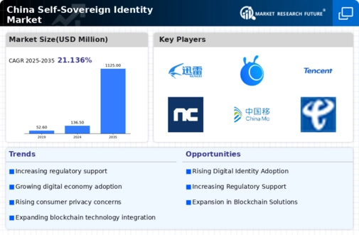 China Self Sovereign Identity Market Infographic