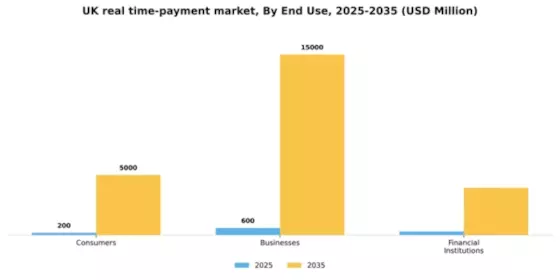 UK Real Time Payment Market Segment Image 1