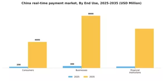 China Real Time Payment Market Segment Image 1