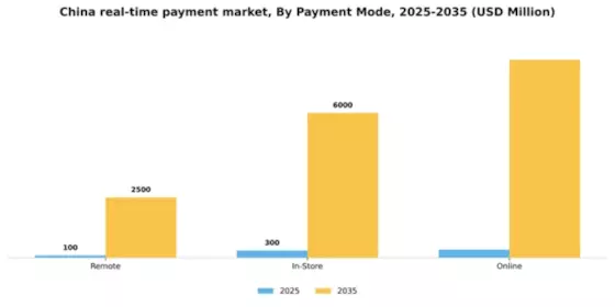 China Real Time Payment Market Segment Image 2