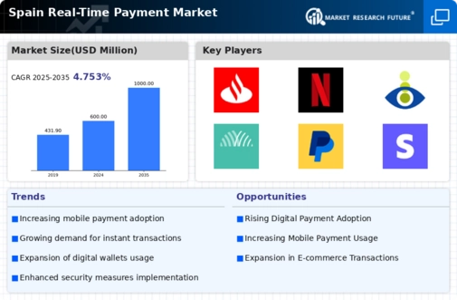 Spain Real Time Payment Market  Infographic