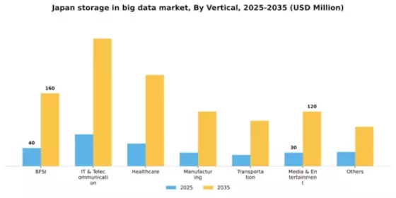 Japan Storage In Big Data Market Segment Image 1