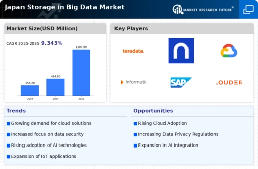Japan Storage In Big Data Market Infographic