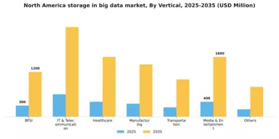 North America Storage In Big Data Market Segment Image 1