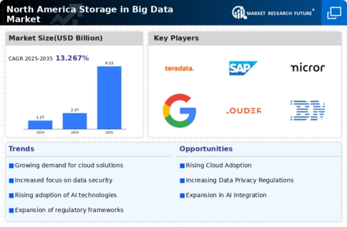 North America Storage In Big Data Market Infographic