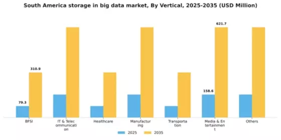 South America Storage In Big Data Market Segment Image 1