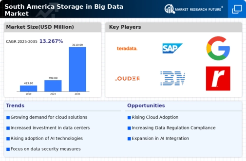 South America Storage In Big Data Market Infographic