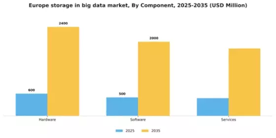 Europe Storage In Big Data Market Segment Image 0