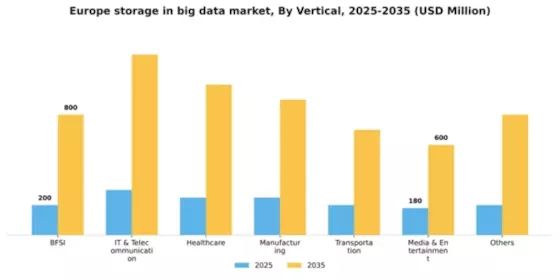 Europe Storage In Big Data Market Segment Image 1