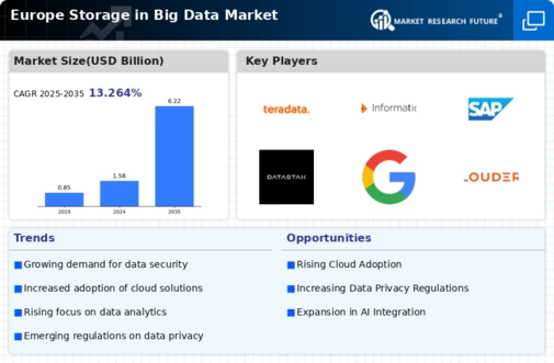 Europe Storage In Big Data Market Infographic