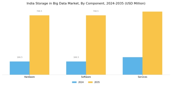 India Storage In Big Data Market Segment Image 0