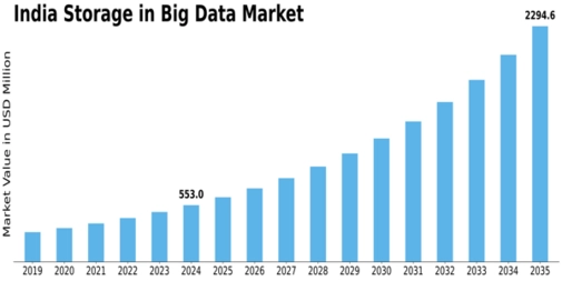 India Storage In Big Data Market Size