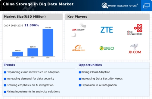 China Storage In Big Data Market Infographic