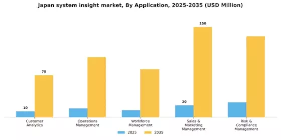 Japan System Insight Market Segment Image 0