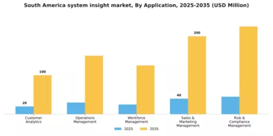 South America System Insight Market Segment Image 0