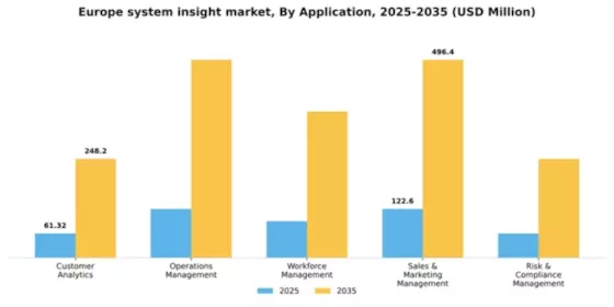 Europe System Insight Market Segment Image 0