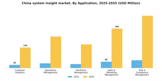 China System Insight Market Segment Image 0