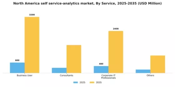 North America Self Service Analytics Market Segment Image 3