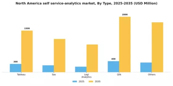 North America Self Service Analytics Market Segment Image 4
