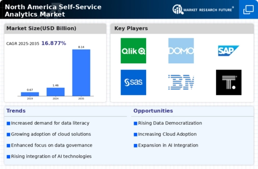 North America Self Service Analytics Market Infographic