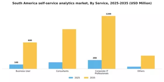 South America Self Service Analytics Market Segment Image 3