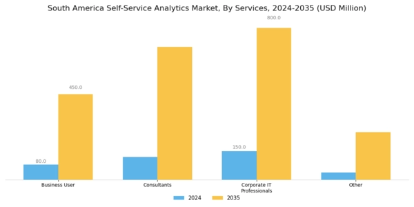 South America Self Service Analytics Market Segment Image 1