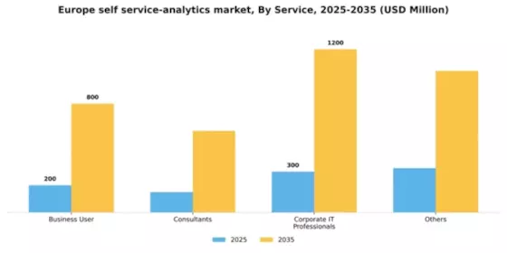 Europe Self Service Analytics Market Segment Image 3