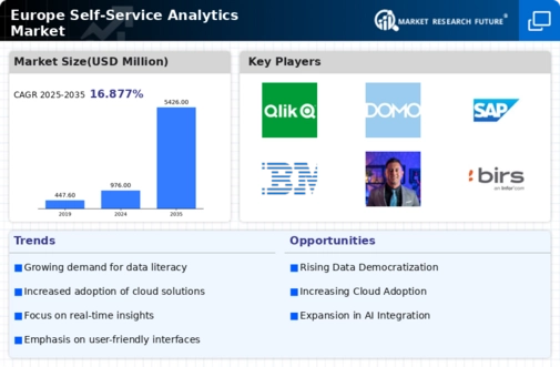 Europe Self Service Analytics Market Infographic