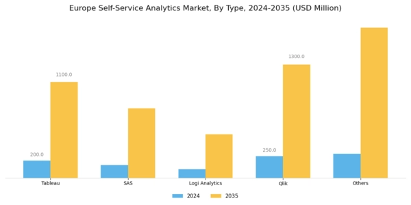Europe Self Service Analytics Market Segment Image 0
