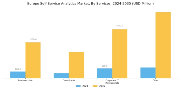Europe Self Service Analytics Market Segment Image 1