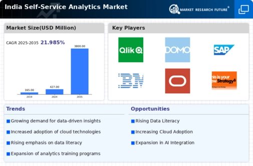 India Self Service Analytics Market Infographic