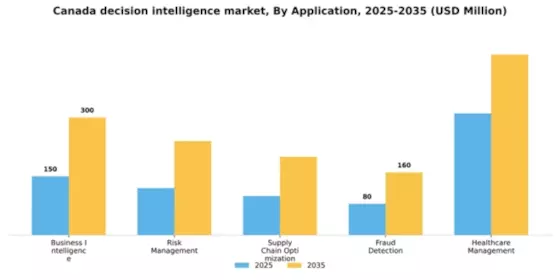 Canada Decision Intelligence Market Segment Image 0