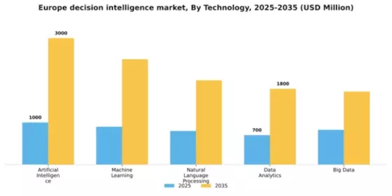 Europe Decision Intelligence Market Segment Image 3