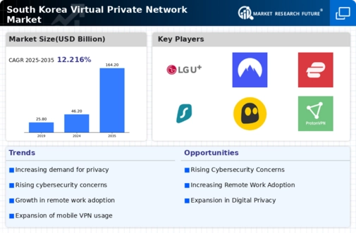 South Korea Virtual Private Network Market Infographic
