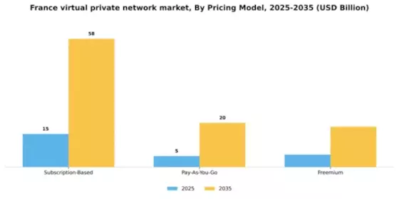 France Virtual Private Network Market Segment Image 3