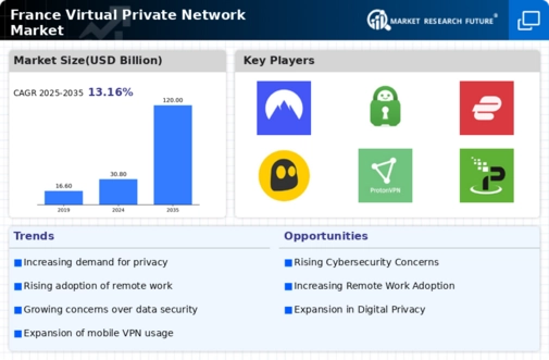 France Virtual Private Network Market Infographic
