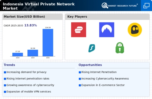Indonesia Virtual Private Network Market Infographic