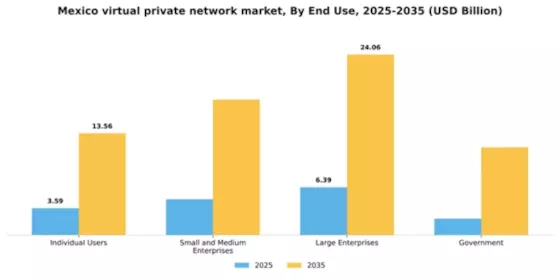 Mexico Virtual Private Network Market Segment Image 2