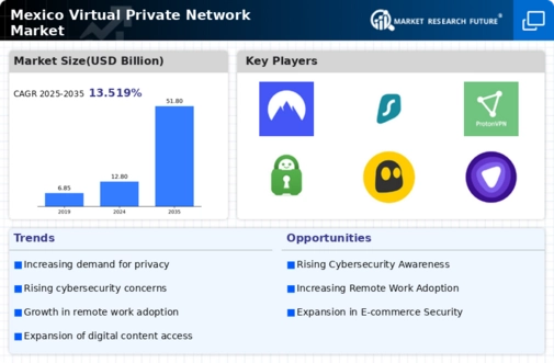 Mexico Virtual Private Network Market Infographic