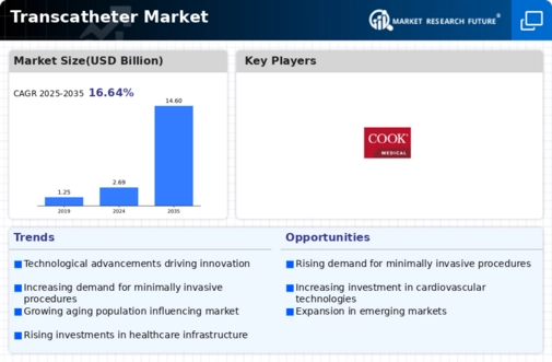 Transcatheter Market Infographic