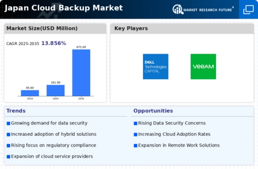 Japan Cloud Backup Market Infographic