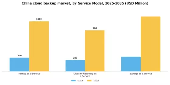 China Cloud Backup Market Segment Image 3