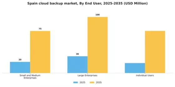 Spain Cloud Backup Market Segment Image 2