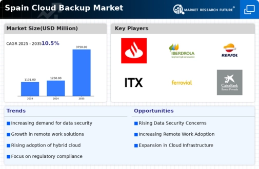 Spain Cloud Backup Market Infographic