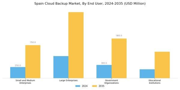 Spain Cloud Backup Market Segment Image 2