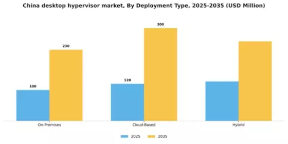 China Desktop Hypervisor Market Segment Image 1