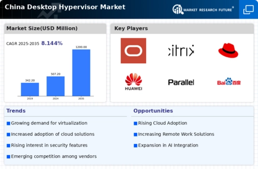 China Desktop Hypervisor Market Infographic