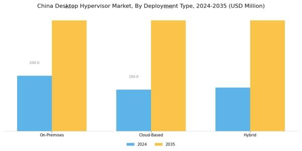China Desktop Hypervisor Market Segment Image 0