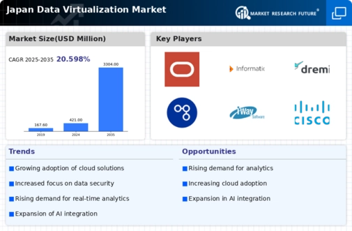 Japan Data Virtualization Market Infographic