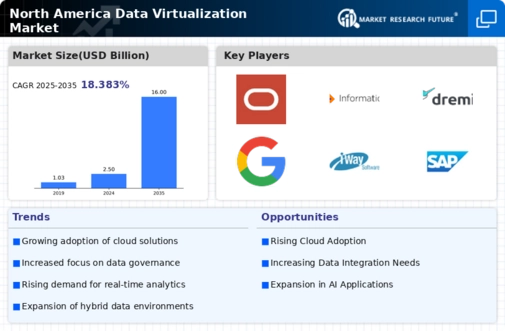 North America Data Virtualization Market Infographic